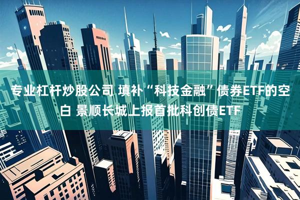专业杠杆炒股公司 填补“科技金融”债券ETF的空白 景顺长城上报首批科创债ETF