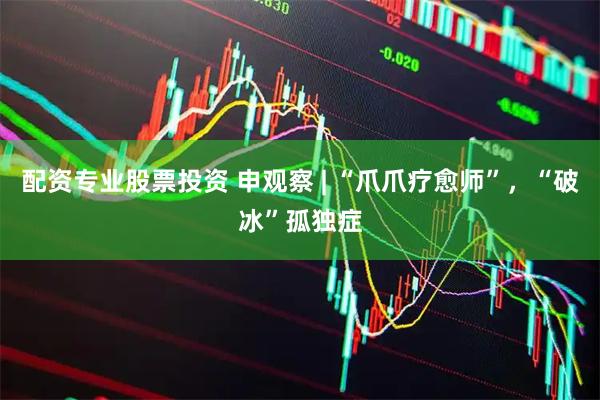 配资专业股票投资 申观察 | “爪爪疗愈师”,“破冰”孤独症