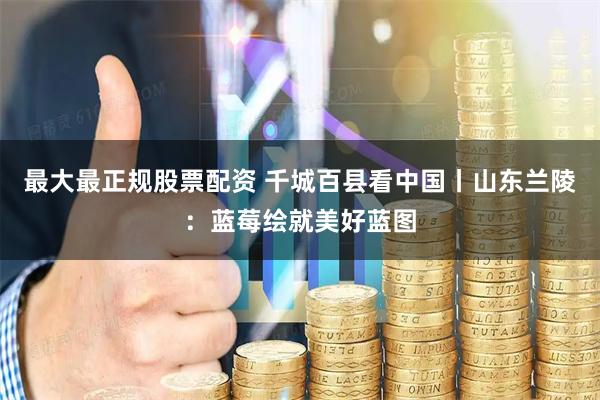 最大最正规股票配资 千城百县看中国丨山东兰陵：蓝莓绘就美好蓝图